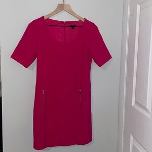Bright Pink Ann Taylor Dress